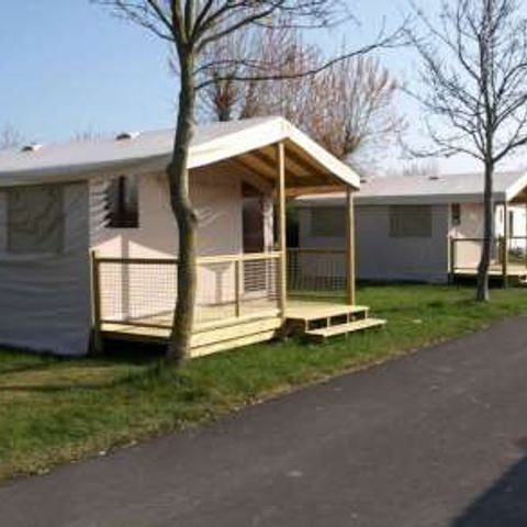 Safaritent 4 personen - Ecolodge - Hout - 19m² - 2 kamers