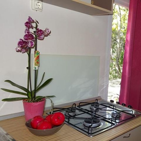 Bungalow 4 personen - NATURE STANDARD ohne Sanitäranlagen