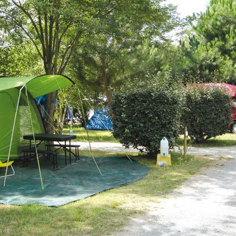 STAANPLAATS - auto + tent of caravan (elektriciteit inbegrepen)