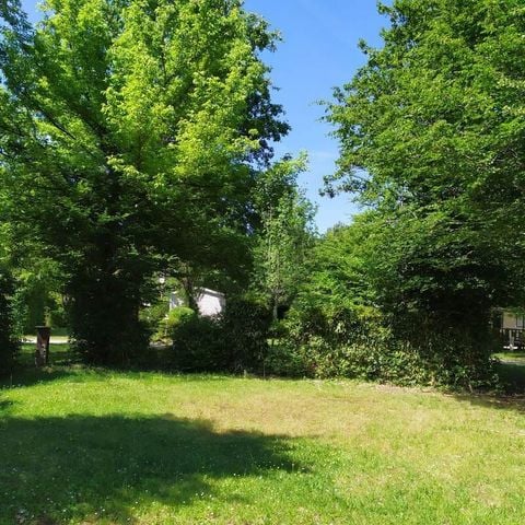 Stellplatz - Komfort: 2 Personen + Fahrzeug + Strom