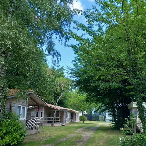 CHALET 4 persone - I FUOCHI