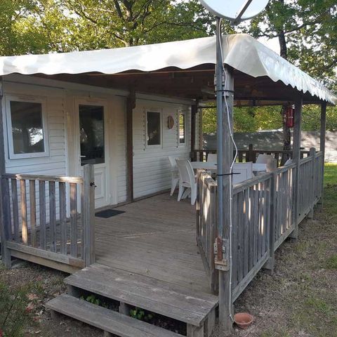 Mobile home 4 persons - THE FAUNA
