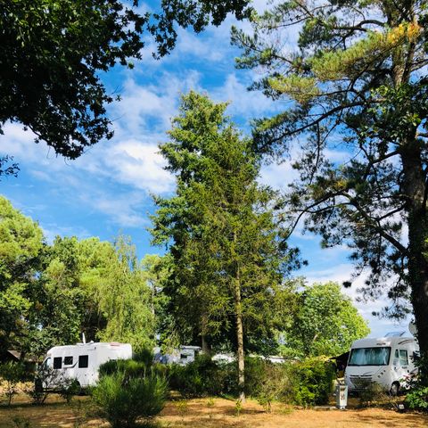 Camping l'Hermitage Camping l'Hermitage - Camping Loire-Atlantique - Image N°6