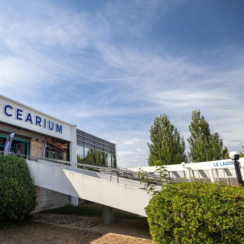 Camping Domaine de Bréhadour   - Camping Loire-Atlantique - Image N°5