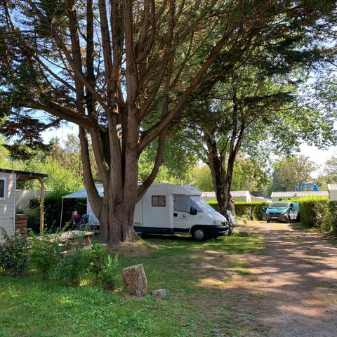 Pitch - Bare pitch - PREMIUM - maximum vehicle 6m, double axles prohibited 2pers. with electricity