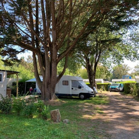 STAANPLAATS - Kale standplaats - PREMIUM - maximum voertuig 6m, dubbele assen verboden 2pers. met elektriciteit