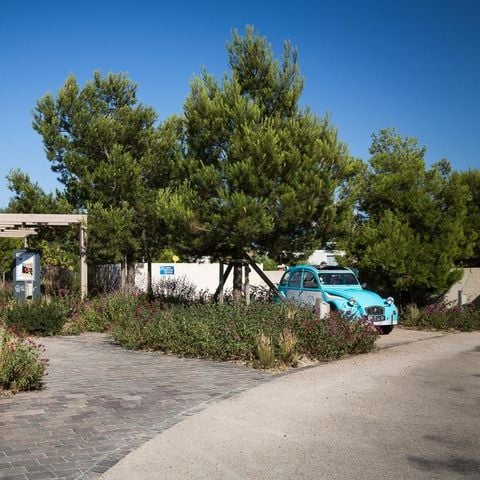 Camping Ile aux Oiseaux - Camping Vendée - Image N°3