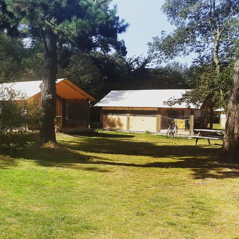 Canvas and wooden tent 5 persons - Without sanitary facilities