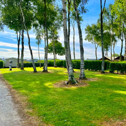 Pitch - Comfort package (1 tent, caravan, motor home or 1 car / 12A electricity)