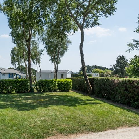 PLOT - Premium pitch package (shower room, WC, kitchenette) and covered terrace