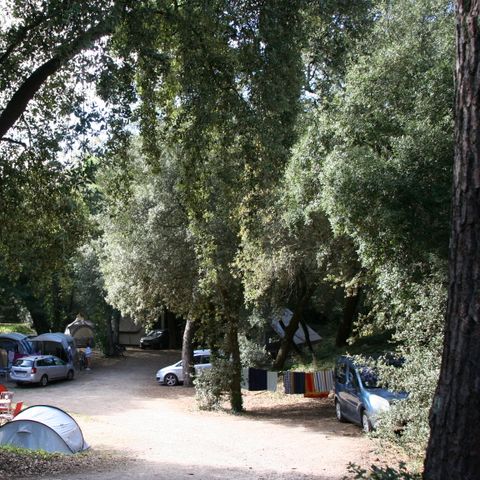 STAANPLAATS - Tentplaats