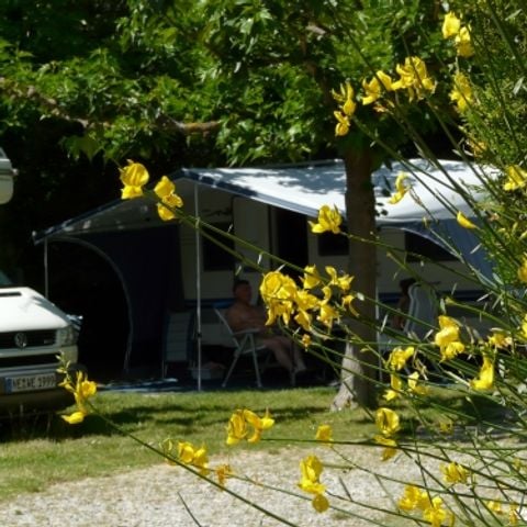 Kampeerplaats - 100m² + 1 voertuig