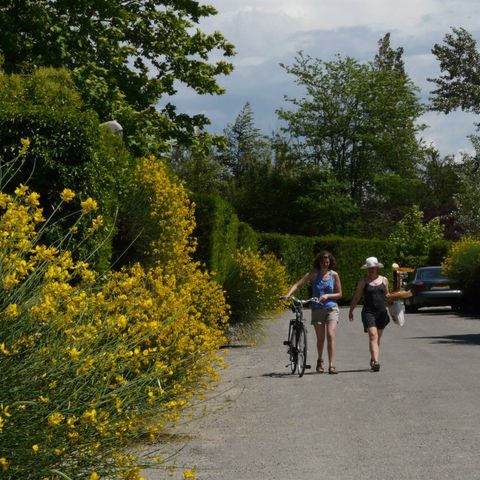 Camping La Sorguette - Camping Vaucluse - Image N°16