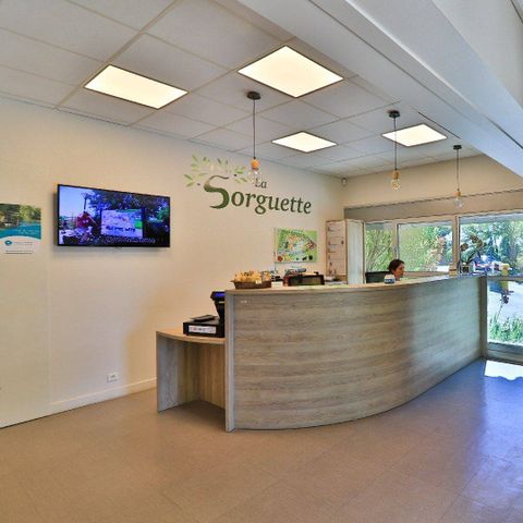 Camping La Sorguette - Camping Vaucluse - Image N°14