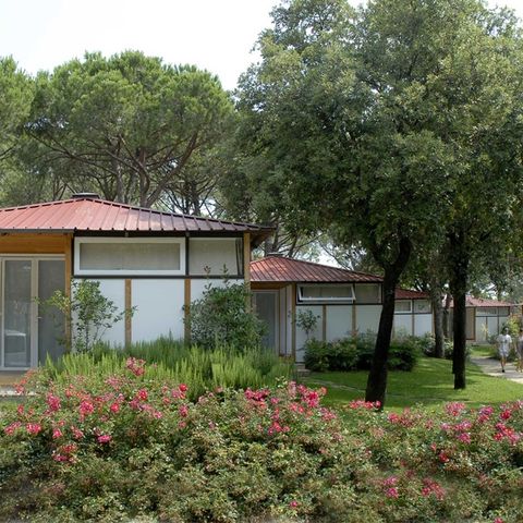 CHALET 4 personas - Confort