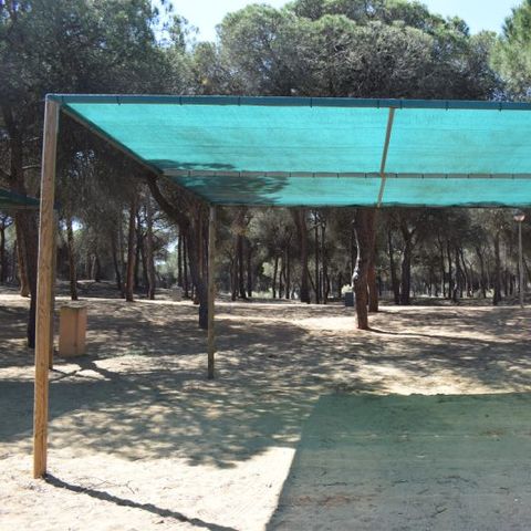Kampeerplaats - Parcela Estandar voor campers met kunstmatige slaapstand
