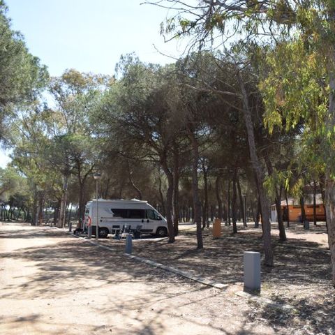 Kampeerplaats - Parcela Estandar voor campers met natuurlijke verduistering