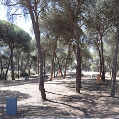 PLOT - Parcela Estandar for caravans with natural shade