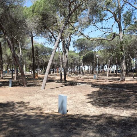 Kampeerplaats - Parcela Estandar para autocaravanas sin sombra