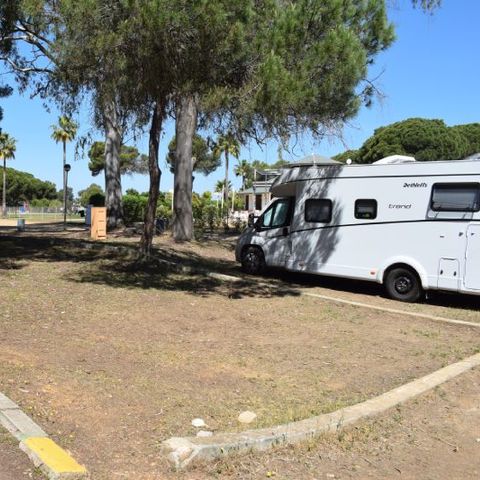 Kampeerplaats - Parcela Estandar para autocaravanas sin sombra