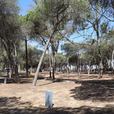 Kampeerplaats - Parcela Estandar para autocaravanas sin sombra