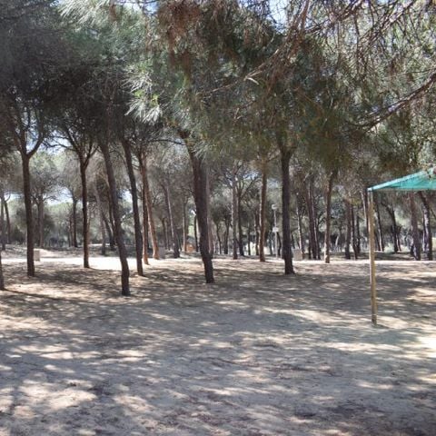 PLOT - Parcela plus for caravans with natural shade