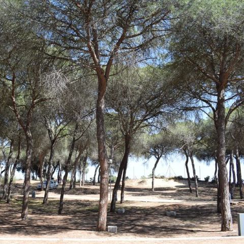 Kampeerplaats - Parcela plus voor campers met natuurlijke kleur