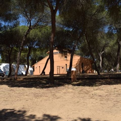 PLOT - Parcela plus for autocaravanas sin sombra