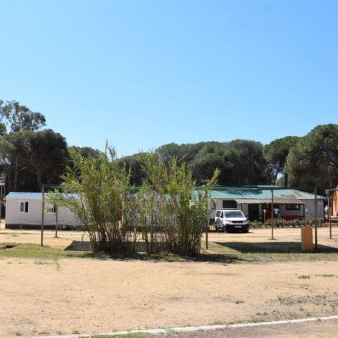 Kampeerplaats - Parcela plus voor autocaravanas sin sombra