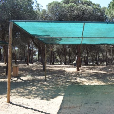 Stellplatz - Parcela Estandar para caravanas con sombra artificial