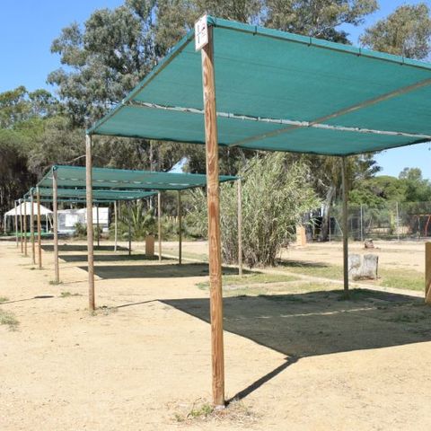 STAANPLAATS - Parcela plus voor campers met kunstmatige slaapstand