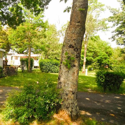 PLOT - Very comfortable location