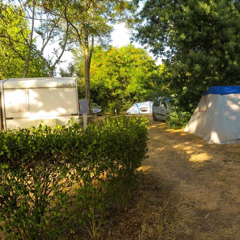 PLOT - Comfortable pitch