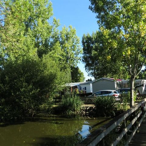 Camping Le Parc de la Grève Camping Le Parc de la Grève - Camping Vendée - Image N°36