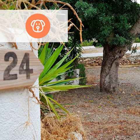 Stellplatz - Standard Pitch: Campingzelt oder Zelttrolley