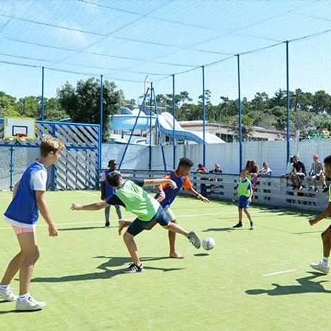 Camping l'Anse des Pins Camping l'Anse des Pins - Camping Charente-Maritime - Image N°12