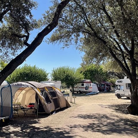 STAANPLAATS - SITE + 1 auto + 1 tent of caravan of camper pakket