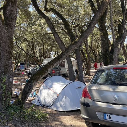STAANPLAATS - SITE + 1 auto + 1 tent of caravan of camper pakket