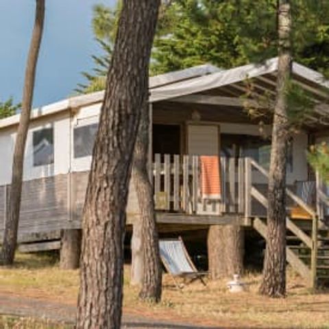 Canvas and wooden tent 6 persons - Lodge Sweet Home 4/6p 2ch ****