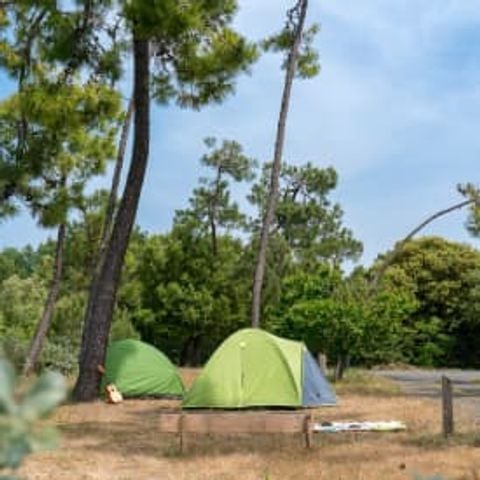 Pitch - Location ** for