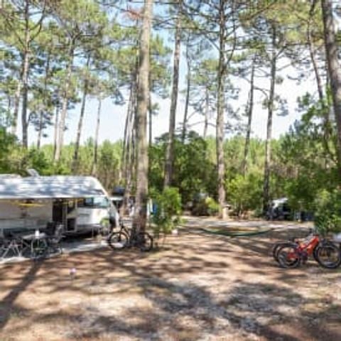 Kampeerplaats - Beachside Pitch XL ** (in het Frans)