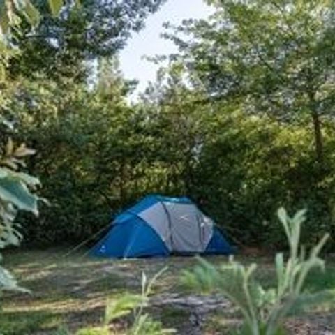 Kampeerplaats - Tent