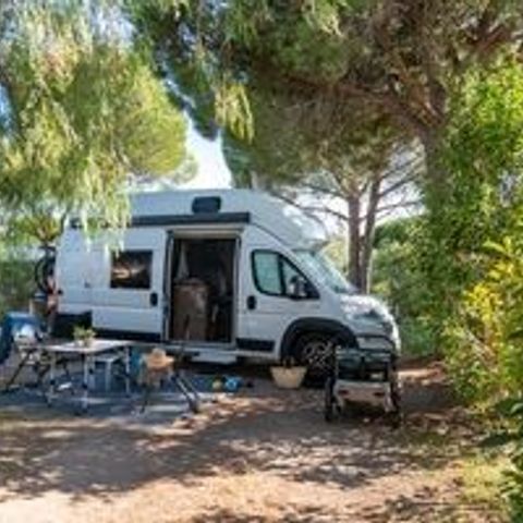 Kampeerplaats - Camper **