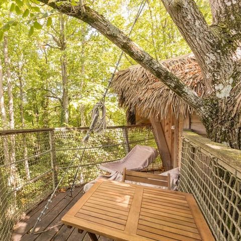 Unterkunft 3 personen - EIN NEST IN DEN STERNEN