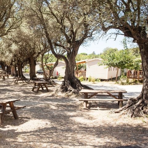Camping La Baie des Anges Camping La Baie des Anges - Camping Bouches-du-Rhone - Image N°26
