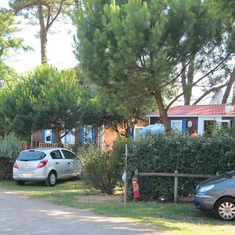Camping Le Bosquet - Camping Vendée - Image N°6