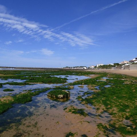 Camping Paradis - La Pomme de Pin Camping Paradis - La Pomme de Pin - Camping Vendée - Image N°26