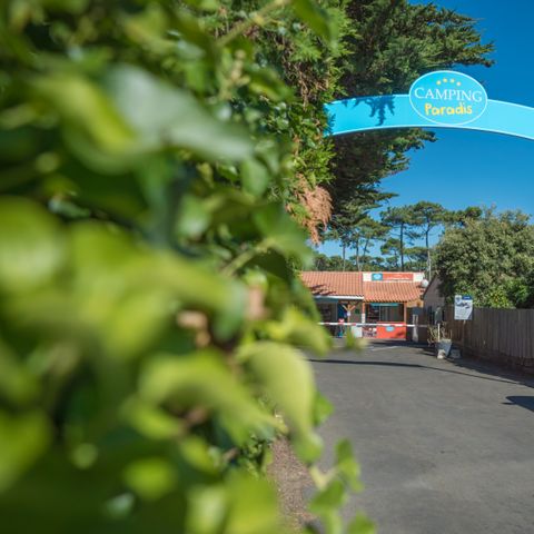 Camping Paradis - La Pomme de Pin - Camping Vendée - Image N°3