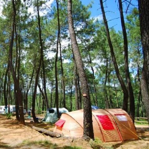 Parcela - Camping
