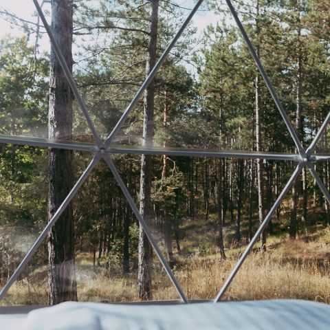 UNIEKE ACCOMMODATIE 4 personen - Glampingdome Kaneel